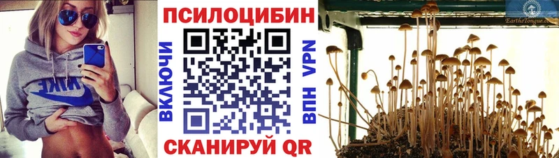 Галлюциногенные грибы Psilocybe  Купить  Вязники 